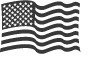 U.S. Flag
